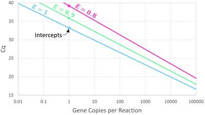 Realizing the value in “non-standard” parts of the qPCR standard curve by integrating fundamentals of quantitative microbiology